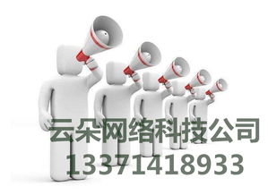 云朵網(wǎng)絡(luò) 專業(yè)SEO優(yōu)化外包服務(wù)，科技賦能網(wǎng)絡(luò)營銷推廣